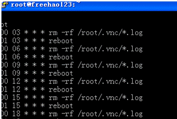 网赚VPS挂机用Vagex自动挂机赚美元