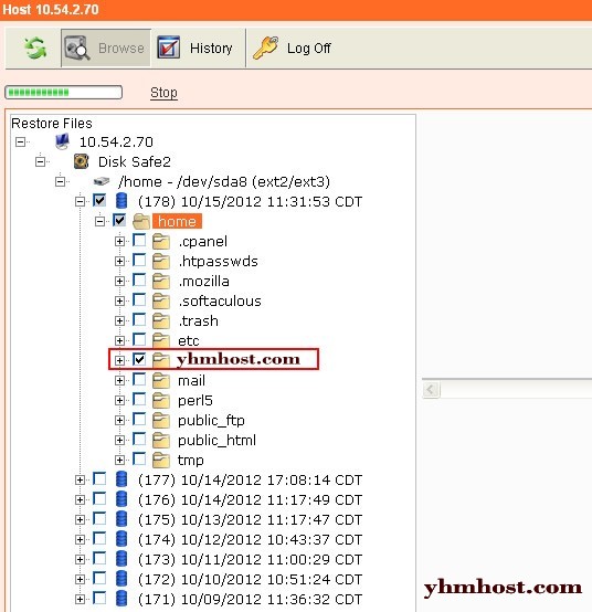 老鹰主机HawkHost网站数据恢复一键还原教程
